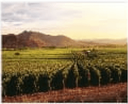 Pinot for Low-Latency Offline Table Analytics