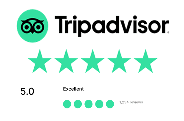 Tripadvisor reviews