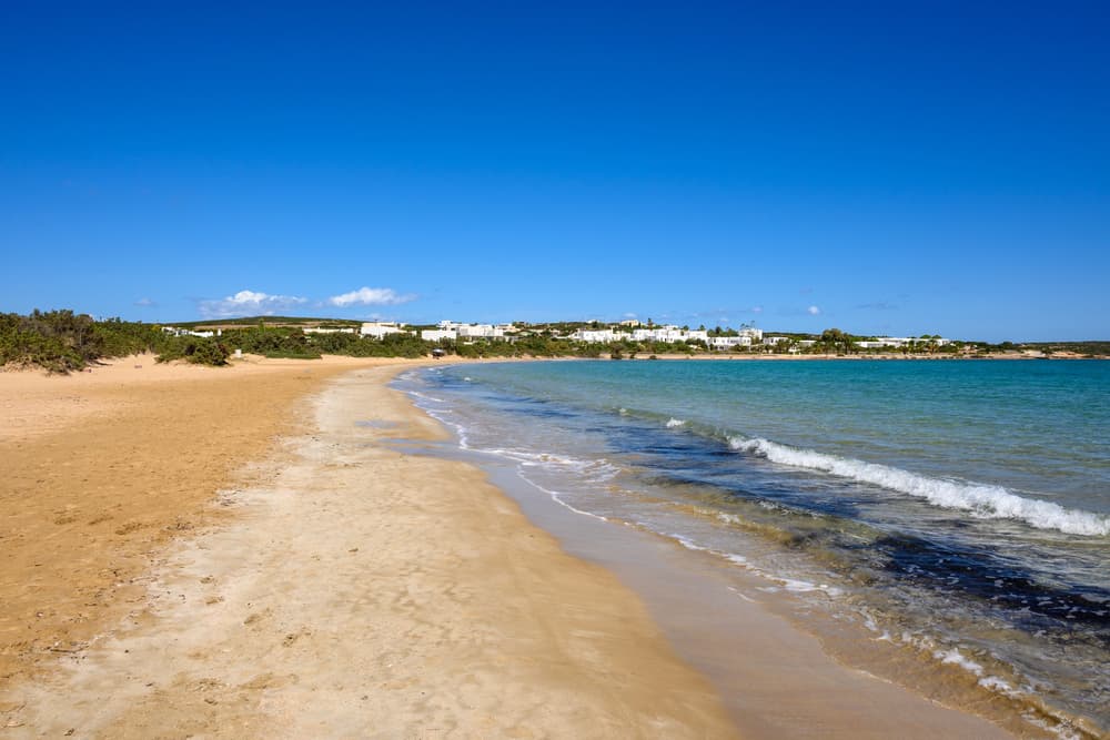 The lively atmosphere at a popular beach club on the wide, sandy Santa Maria Beach, Paros.